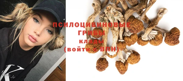 spice Богородицк